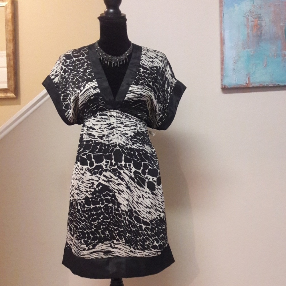 Miuse/ Satiny/ Print/ Tunic/ Dress